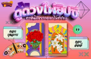 ดูดวงไพ่ยิปซี 17-8-66