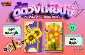 ดูดวงไพ่ยิปซี 22-8-66