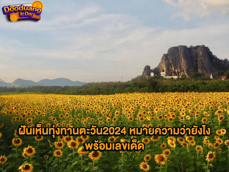 ฝันเห็นทุ่งทานตะวัน2024